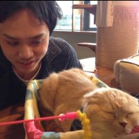 リュード|FXトレーダー【相場心理学】 (@fxryudo) 's Twitter Profile Photo リュード|FXトレーダー【相場心理学】 (@fxryudo) 's Twitter Profile Photo