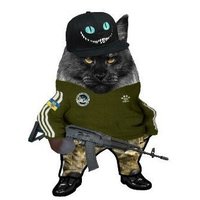 No Gopnik 🐈🦈(@OGopnik) 's Twitter Profile Photo