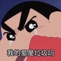 大道寺知世 (@lvchayecaihua) Twitter profile photo