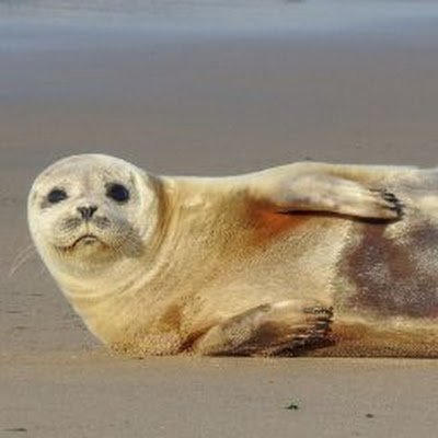 64Quatrix's profile picture. 