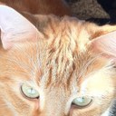 Joe Holton - @holton_joe - Twitter