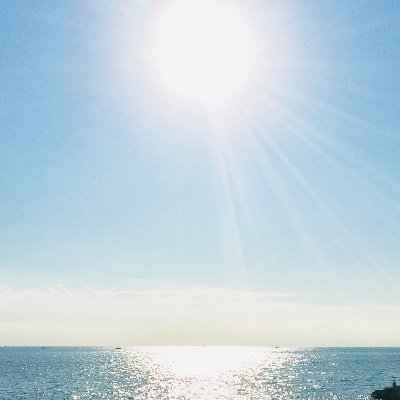 ma9_net's profile picture. 