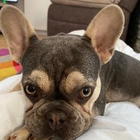 Paul (@willia27767paul) Twitter profile photo