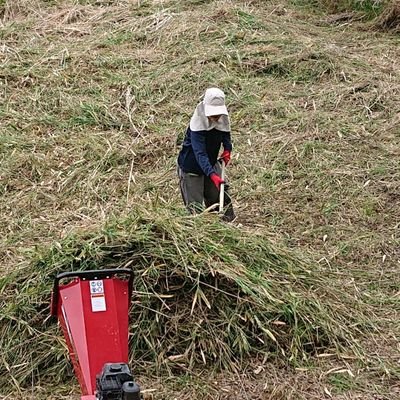 マモノミカドヤモリ・トイプードルと生活 。 伊賀にて小規模養蚕 ※虫アクセサリーアカhttps://t.co/Eb1FOl1uPL