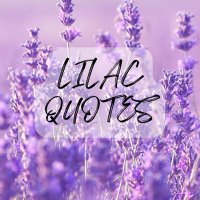 Lilac Quotes(@lilacquotes4u) 's Twitter Profile Photo