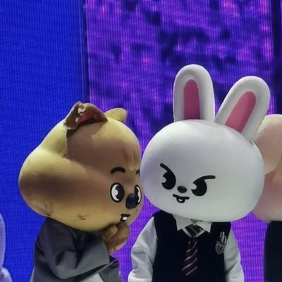 ManxueX's profile picture. 🇨🇳，for Straykids
minsung🐰🐿️