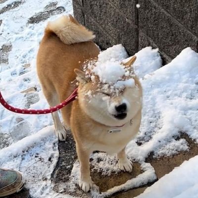 Huanshan_'s profile picture. 我只想做一个秘密 | 垃圾桶 @aaaaaaaaaaaaqiu