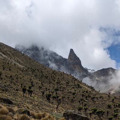 BShylock's profile picture. #GGMU