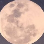 nano25___co's profile picture. やらない後悔よりやって大成功