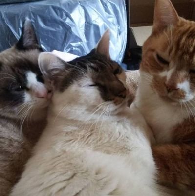ぺん銀会 & ぺん銀ガレージ
好き➡🐱⛳🚗🎰💰️👨👩👦🥩🍣
運転最上手おにーさんをめざしてます。
まぁまぁいいとこまでいってるはず。
家族と仕事を愛してます❗