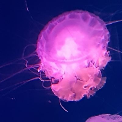 RM279i0BhB21729's profile picture. 