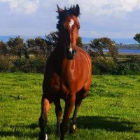 James O'Sullivan (@mallowtestcentr) 's Twitter Profile Photo James O'Sullivan (@mallowtestcentr) 's Twitter Profile Photo