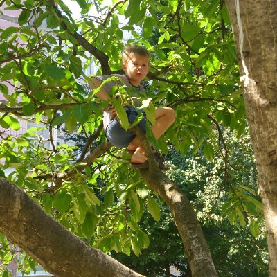 _Dmytro_SH_'s profile picture. 