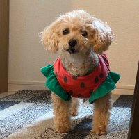 にしくん (@nishiandwakki) Twitter profile photo