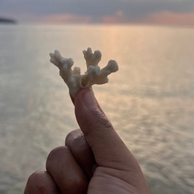 duanfuea's profile picture. 