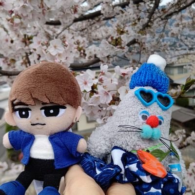 ayakitomo's profile picture. 生まれも育ちも現在も広島🍁86年生まれ🍀小さい頃からカープファン#12#25⚾️サンフレッチェも好き#24⚽️ 
2022年、小学生の娘の影響でなにわ男子、Snow Manにはまり中です😍娘の推しはじょー君💙舘様♥️私の推しは、はっすん💚しょっぴー💙仲良くしてください！
副業、エロ垢興味ないです🙅‍♀️