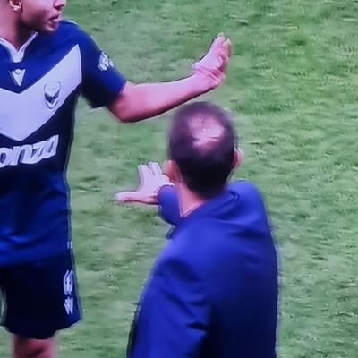 This account is dedicated to Tony Popovic bald spot.