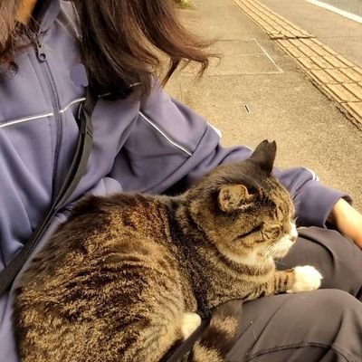 猫依存症