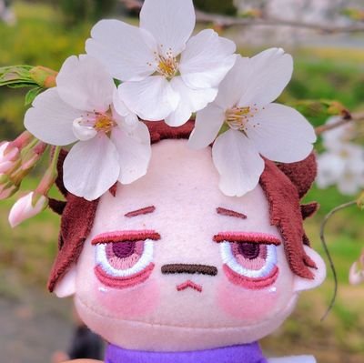 ✹はるみかん✹さんのプロフィール画像
