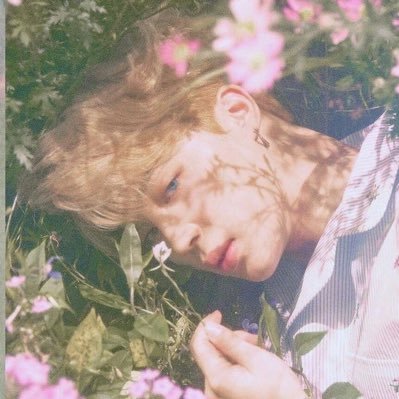 — for btsvt ⁞ may all your trials end in full bloom ❋⋆˙⟡