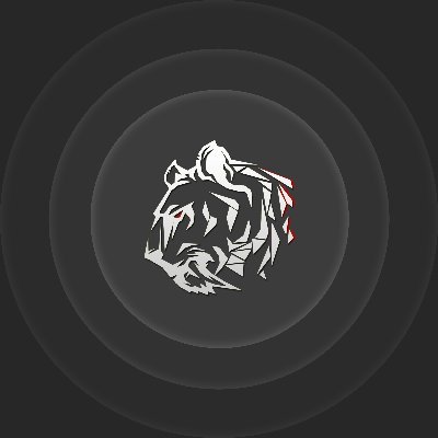 it_zorg's profile picture. We're Experts at all digital services. We craft solutions for every type of business.