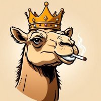 camel (@camel493562) 's Twitter Profile