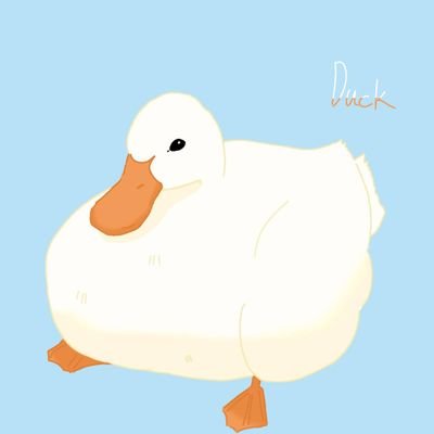 네모さんのプロフィール画像