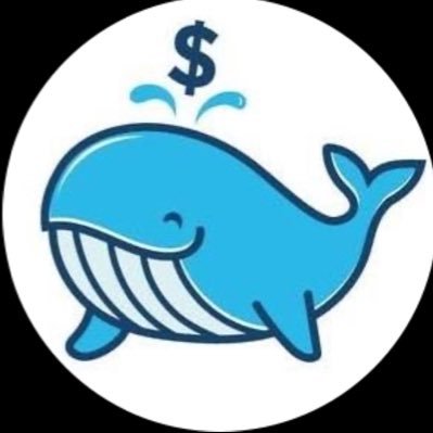 Mr . Crypto Whale 🐋