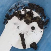 麻 (@djwpatm) Twitter profile photo