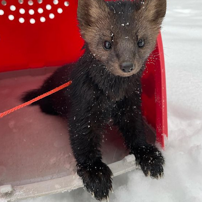 Sable4613314775's profile picture. 