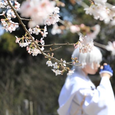 neun(ノイン) cos🔰 like▷刀剣乱舞/プロセカ/ヘタリア/.5 etc      🗝▷▶@Jwc6Pc_9