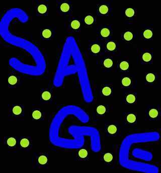 Hello!! We are Sage. of course. Anyway , our names are Mashecia, Janei, Alexis, Shantae, and Mushie! Please follow and we will follo back! thanks!