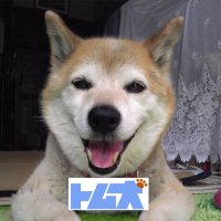 トム犬（いぬ）(@supertomdog) 's Twitter Profile Photo