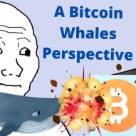 SmallFishies24's profile picture. Crypto life is what matters.
$BALDO Raider
Official Telegram: https://t.co/xopqsQZCDZ