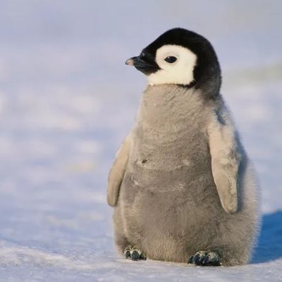 Podonova1's profile picture. Flex support player for @SupershyOW2