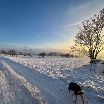 kilianju's profile picture. 