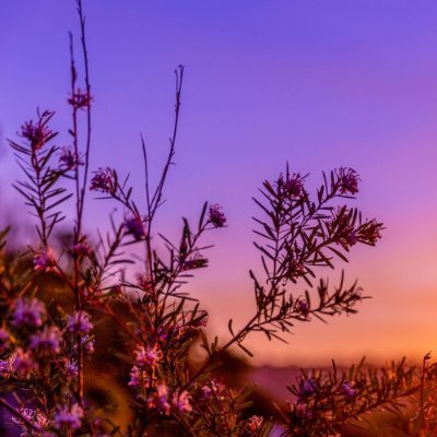 pickle_jiggles's profile picture. Make me laugh and we can be friends
$BALDO Raider
Official Telegram: https://t.co/fqOfnqbxAr