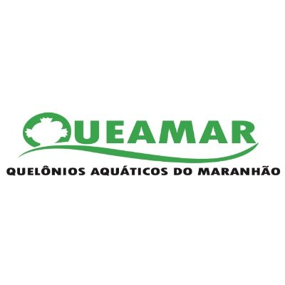 projetoqueamar's profile picture. @UFMAoficial • Fundado em 2000, o grupo estuda os aspectos biológicos, ecológicos e genéticos de tartarugas e mamíferos marinhos encontrados no Maranhão.
