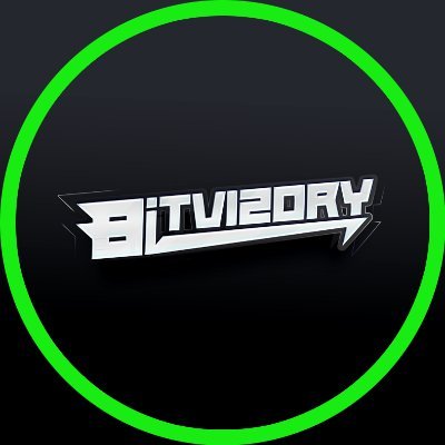 Bitvizory Profile Picture