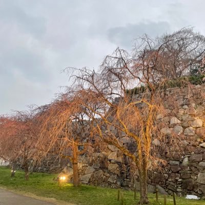 AUf34579's profile picture. 短歌を作っています。12/1（日）文学フリマ東京39にて、共著の歌集を出展します。→@tanka0827121 「僕の名は君が巡った花々の揺らぐ隙間に宿った響き」