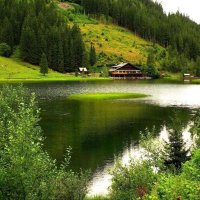 Majda Ahmad (@majdaahmad8) 's Twitter Profile