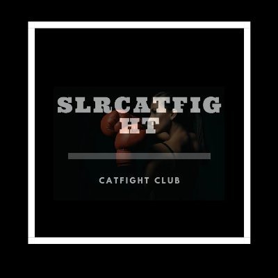 SLRCATFIGHT CLUB --Your catfight home

QQ客服：2143956458