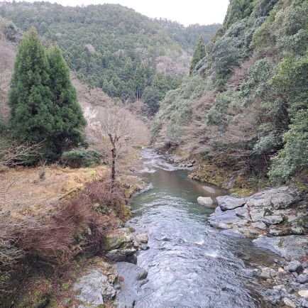 P5M4ukRAfc33718's profile picture. #裏垢男子
#誰でも歓迎
#業者お断り❌
大学生です