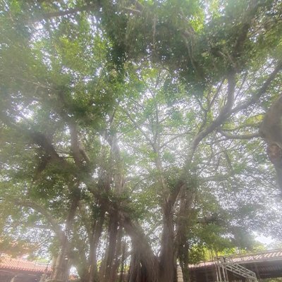 happyever789's profile picture. 