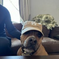 Bert (@loganenglebert1) 's Twitter Profile
