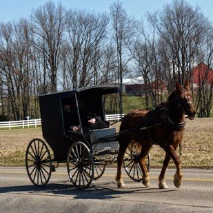 Twitter's leading Amish attorney.
Meme Sommelier
Order of the Polecat Moonbeam.

