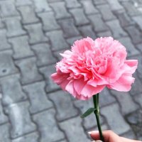 çiçek (@aaabbbb0000) 's Twitter Profile