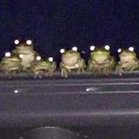 koáx (@moss_sounds) 's Twitter Profile Photo