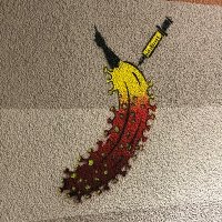 mariuskuehne (@mariuskuehne) Twitter profile photo