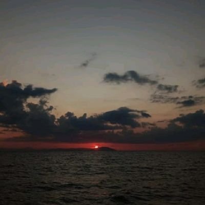 SalsabilaR77731's profile picture. 